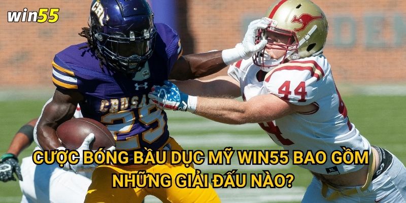 Cược bóng bầu dục Mỹ Win55 có hấp dẫn với fan NFL không? 2 Cược bóng bầu dục Mỹ Win55 bao gồm những giải đấu nào?