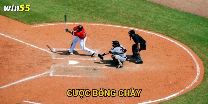 Bộ môn cược bóng chày Win55 có dễ hiểu đối với người Việt không? 2 Bộ môn cược bóng chày Win55 có dễ hiểu đối với người Việt không?