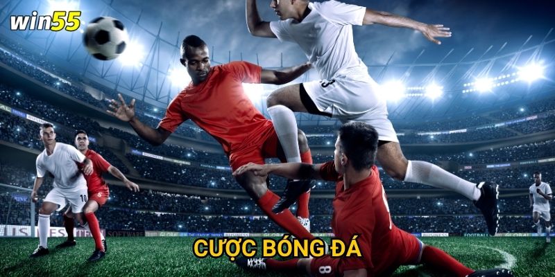 Tại sao cược bóng đá lại thu hút đông đảo thành viên Win55? 4 Tại sao cược bóng đá lại thu hút đông đảo thành viên Win55?