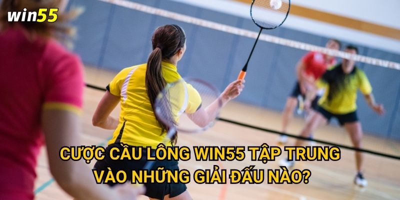 Có nên thử cược cầu lông để đa dạng hóa cơ hội thắng Win55? 2 Cược cầu lông Win55 tập trung vào những giải đấu nào?